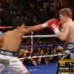 Чемпион мира по боксу Рикки Хаттон получил нокаут (видео)